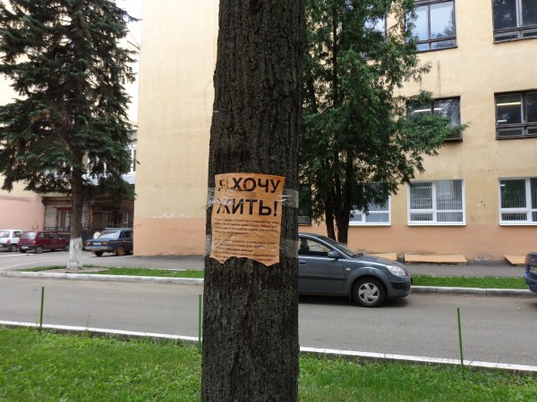 ������ � ������ 